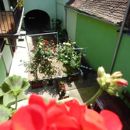 Sibiu Home 4 Green Exterior photo