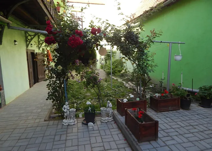 Sibiu Home 4 Green